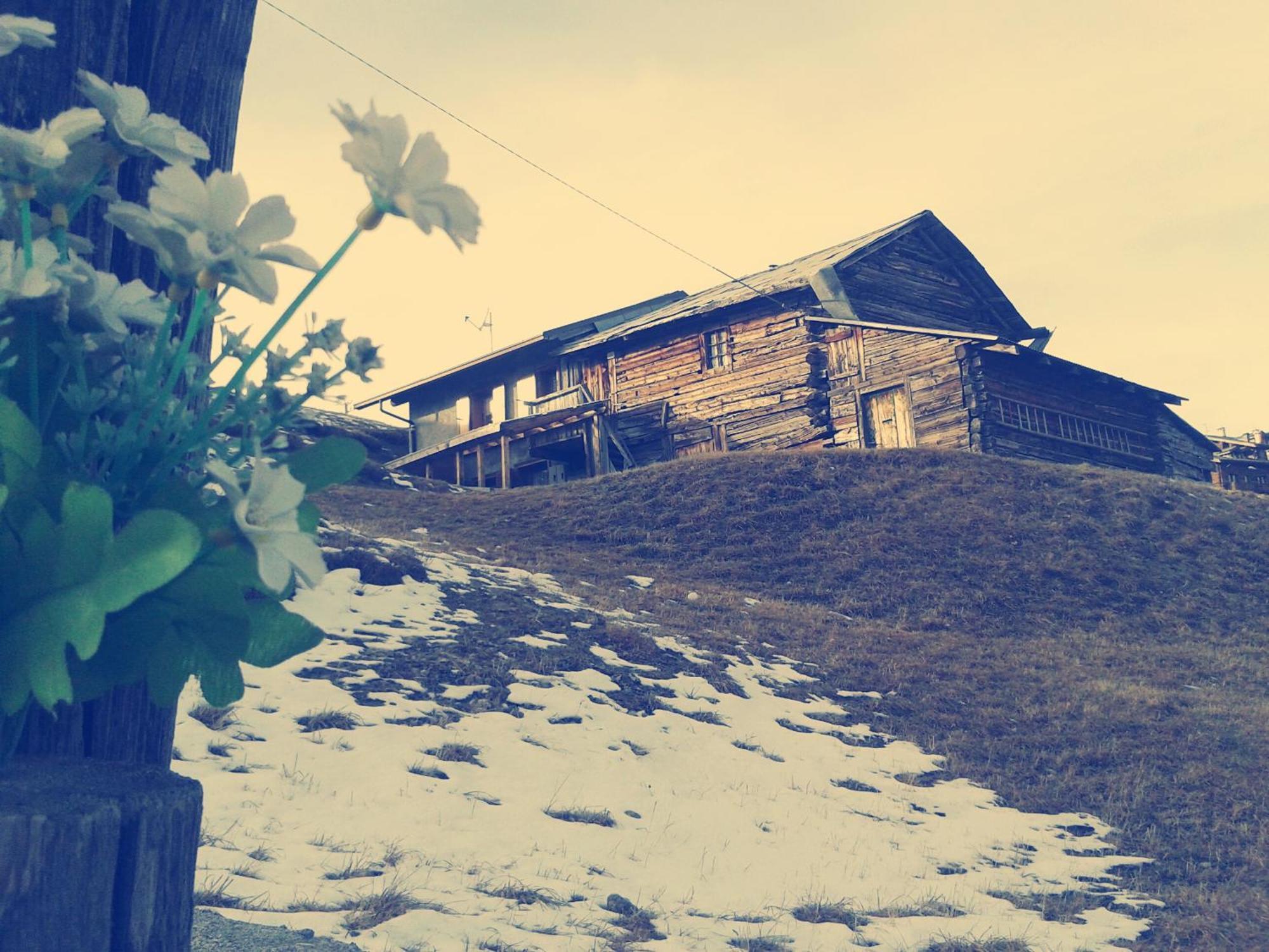 Hotel La Tea Livigno Oda fotoğraf